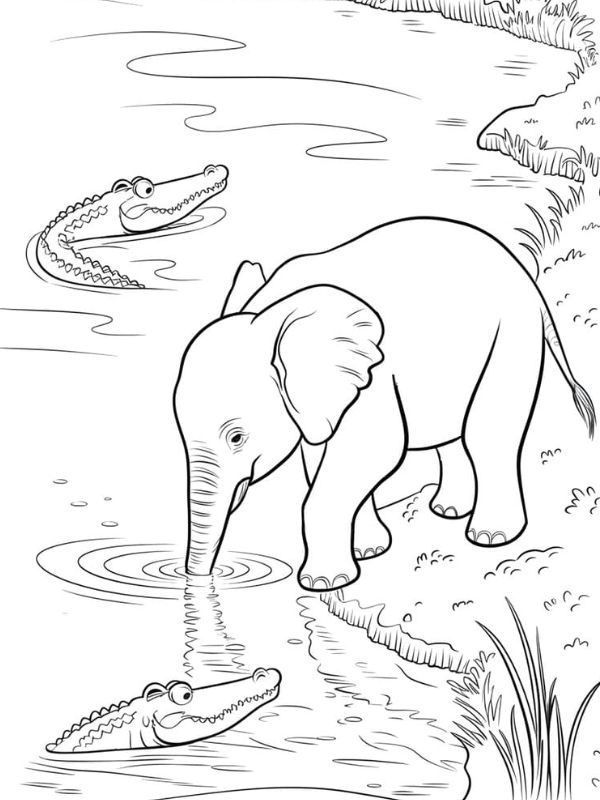 hình ảnh con voi cho bé tô màu