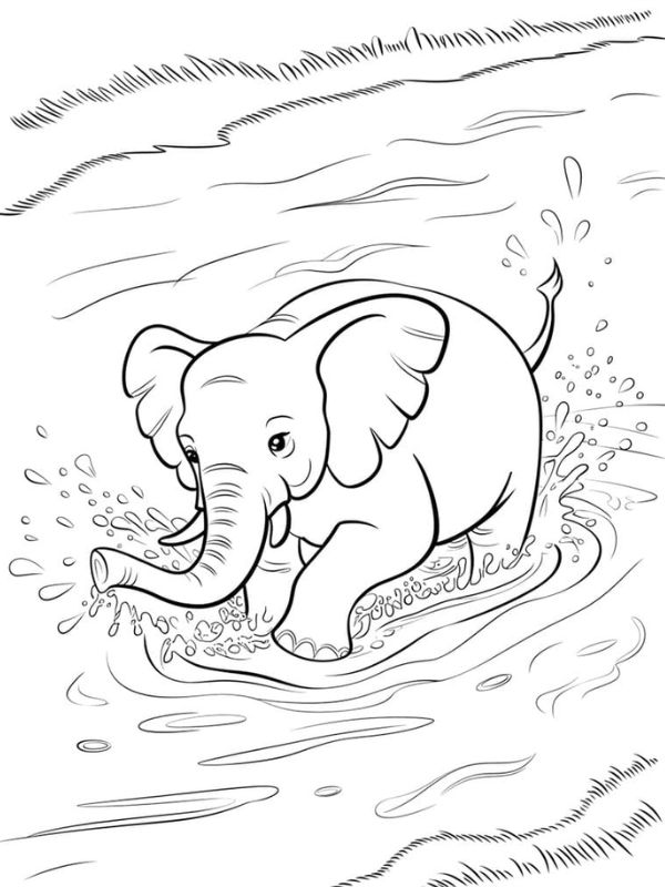 hình ảnh con voi cho trẻ tô màu
