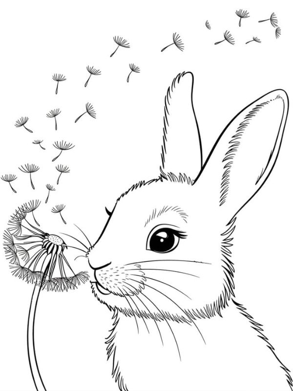 hình ảnh tô màu con thỏ