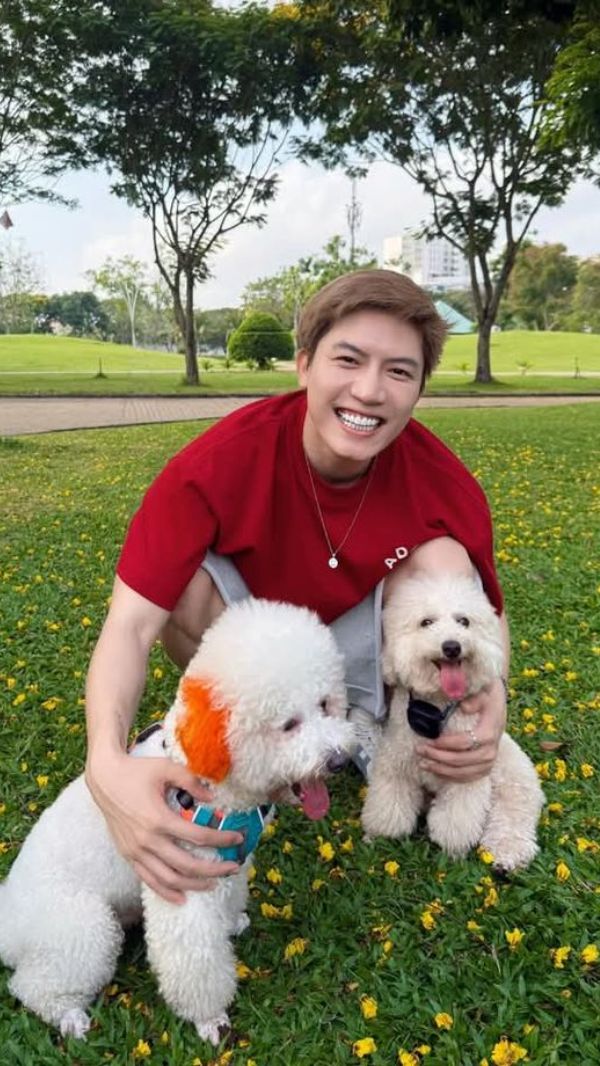 hình nền anh tú 31