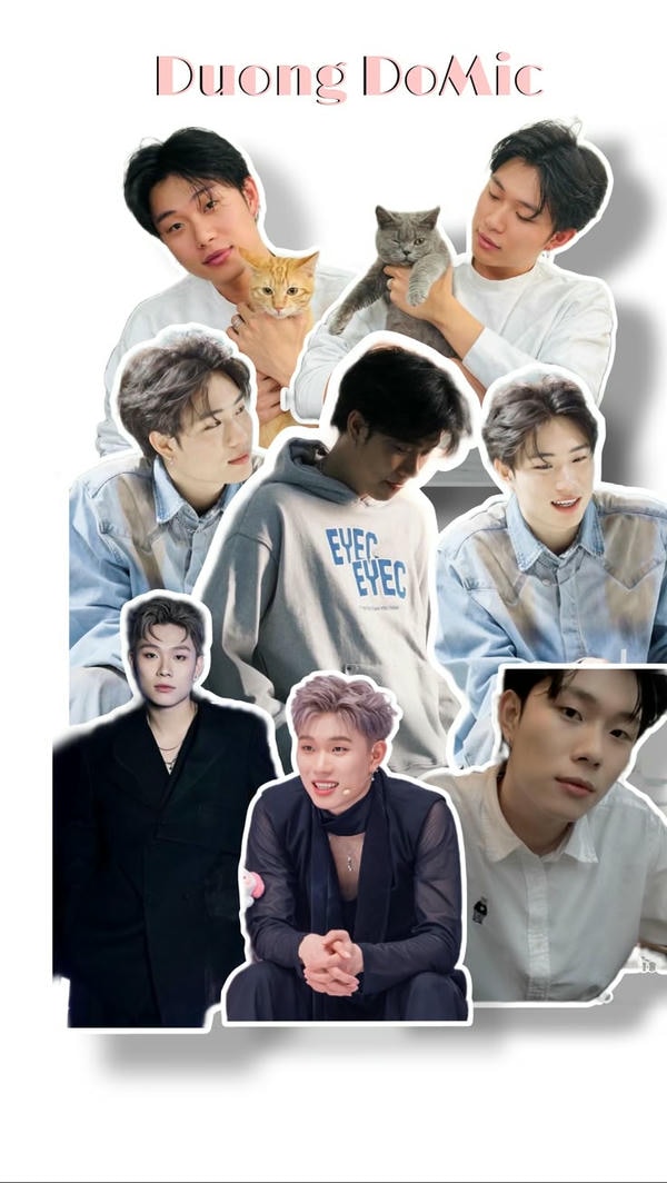 hình nền dương domic 15