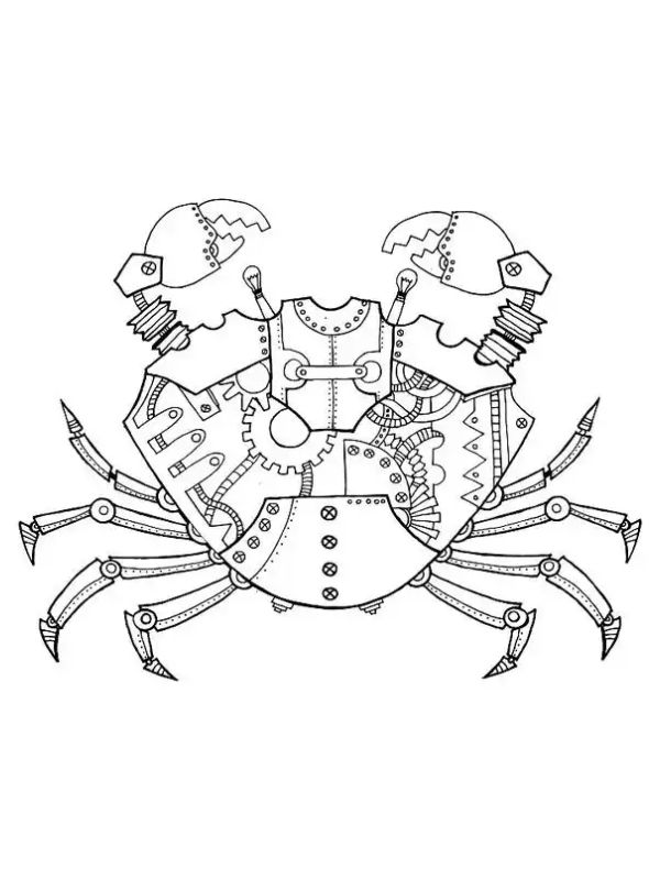 hình tô màu con cua