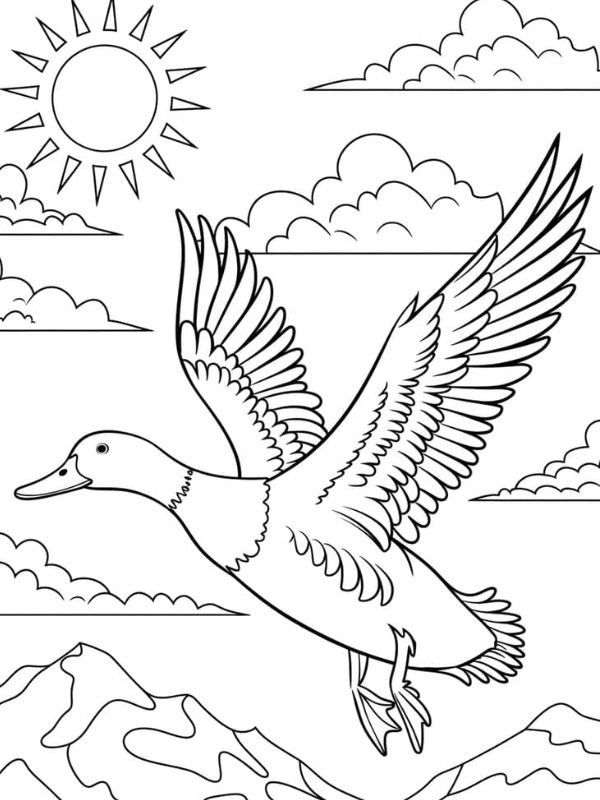 hình tô màu con vịt