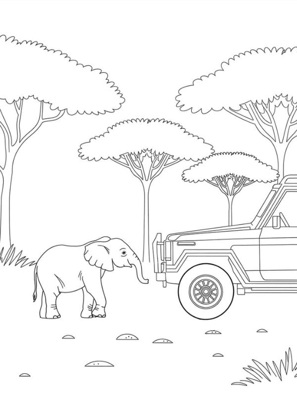 hình vẽ con voi cho bé tô màu