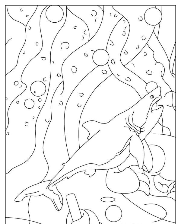 tô màu cá mập 10