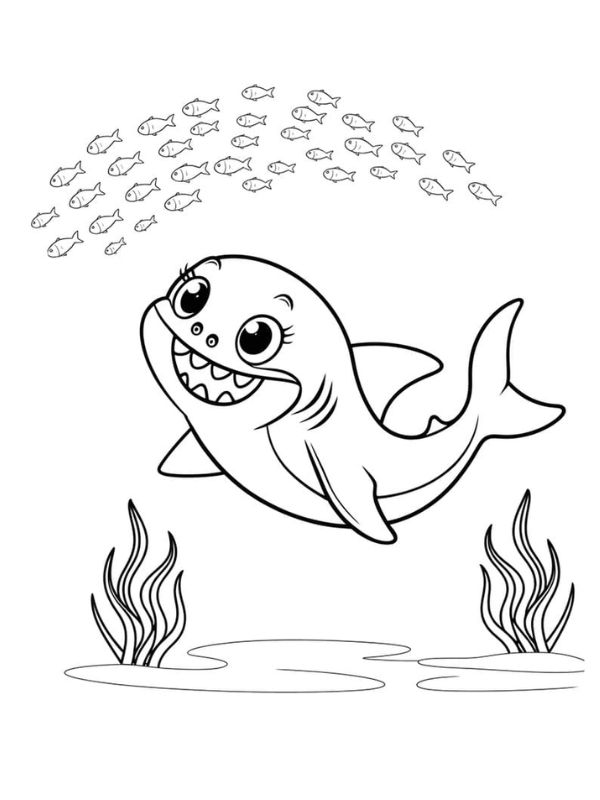 tô màu cá mập 11