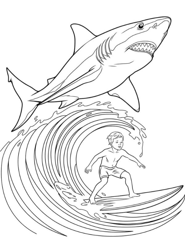 tô màu cá mập 17
