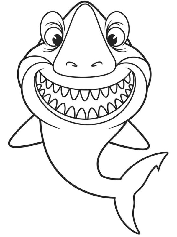 tô màu cá mập 21