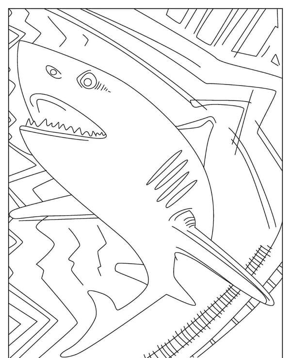 tô màu cá mập 4