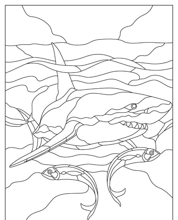 tô màu cá mập 7