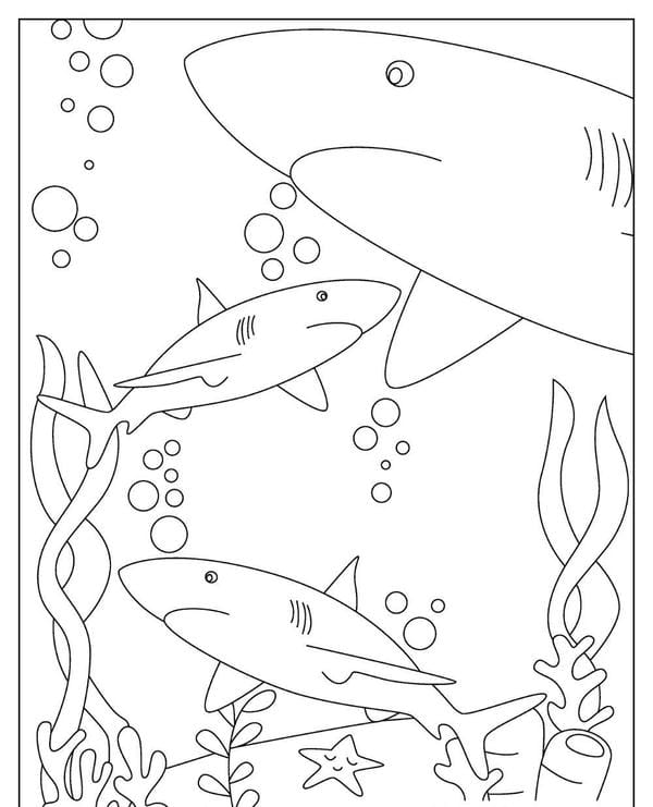 tô màu cá mập 9