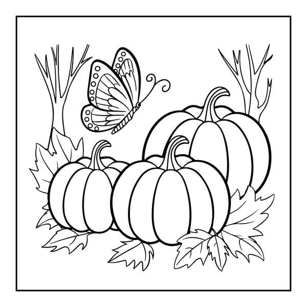 tô màu con bướm 13