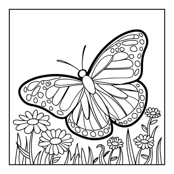 tô màu con bướm 15