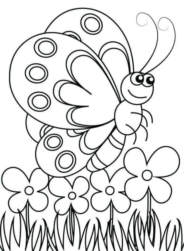 tô màu con bướm 21