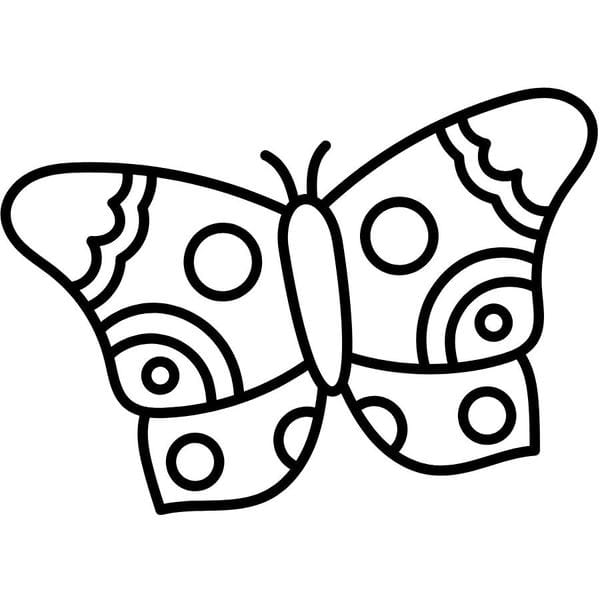 tô màu con bướm 24