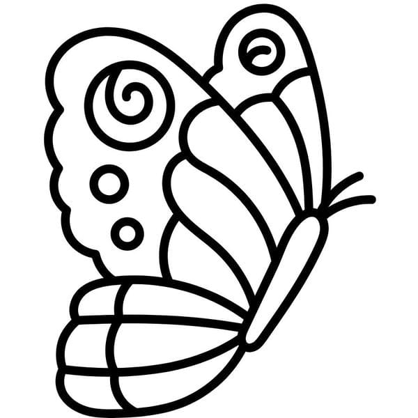 tô màu con bướm 34