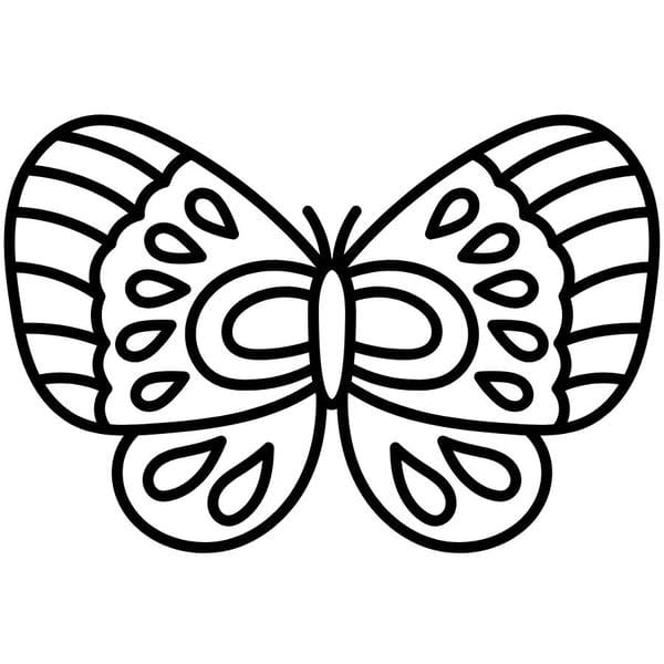 tô màu con bướm 40