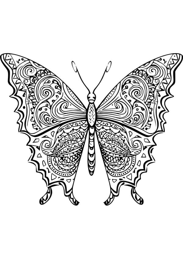 tô màu con bướm 46