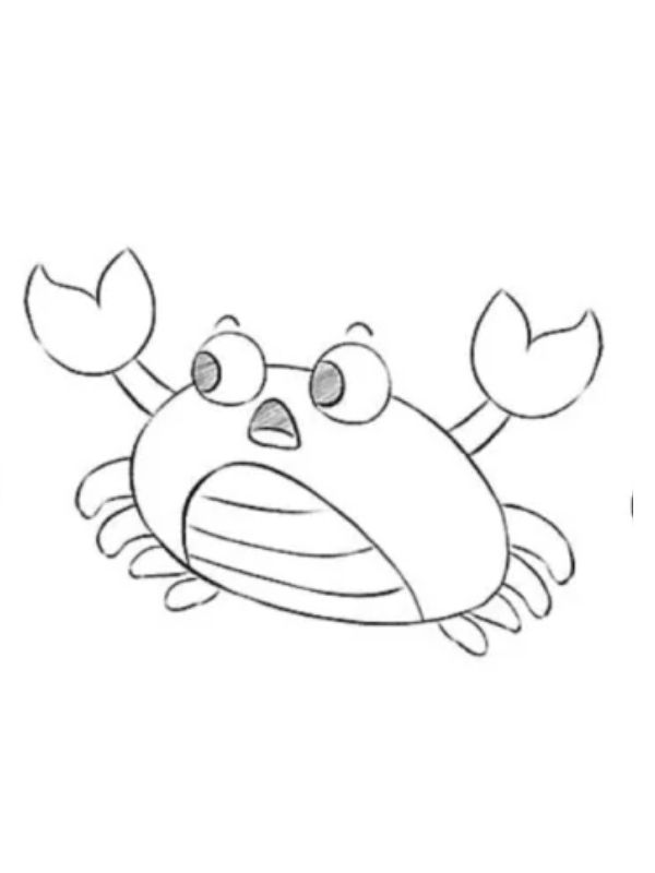tô màu con cua 11