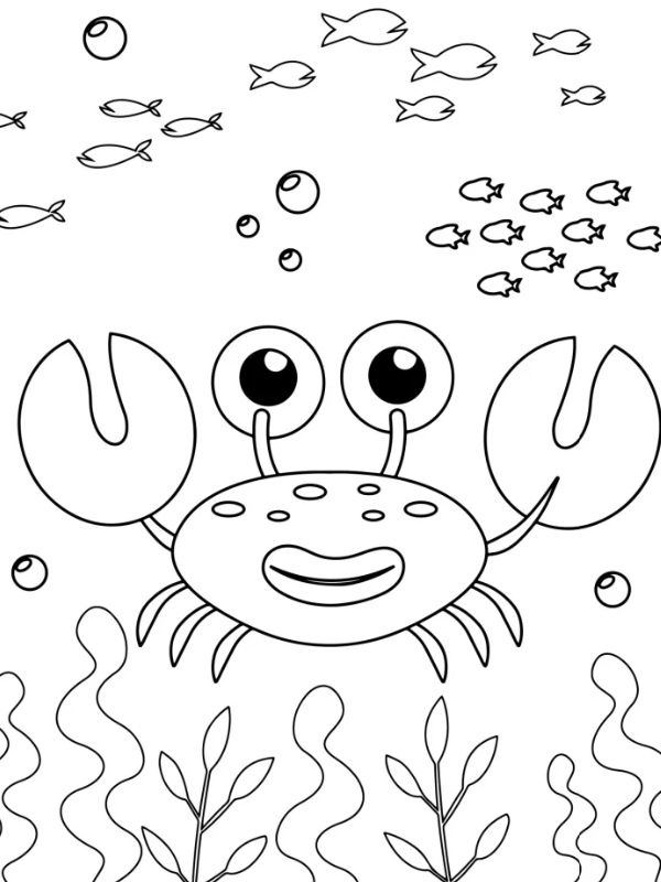 tô màu con cua 17