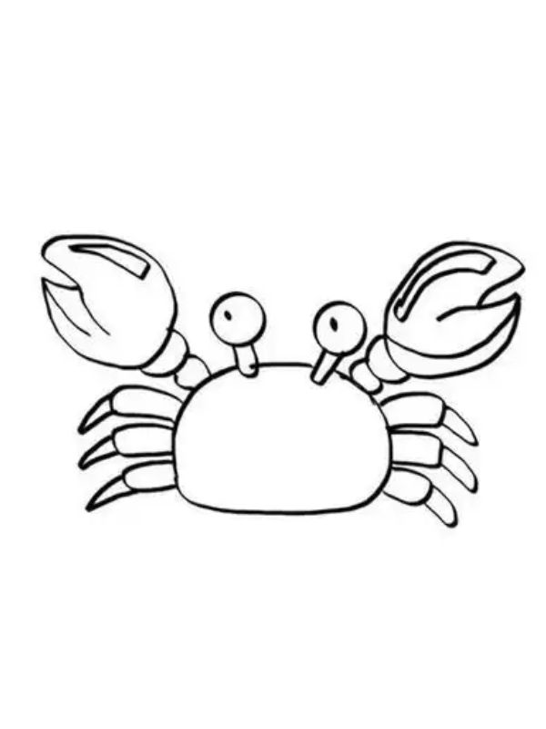 tô màu con cua 23
