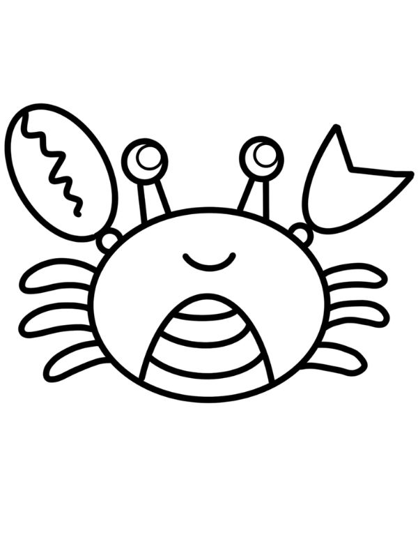 tô màu con cua 6
