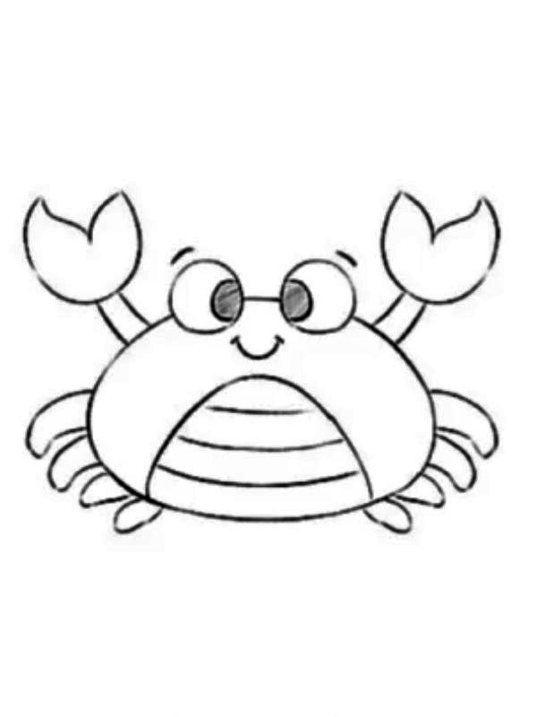 tô màu con cua 9