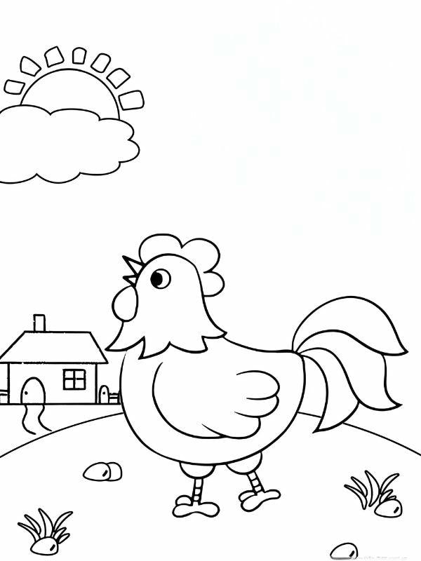 tô màu con gà trống 2
