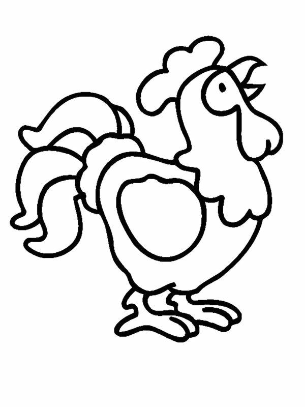 tô màu con gà trống 3