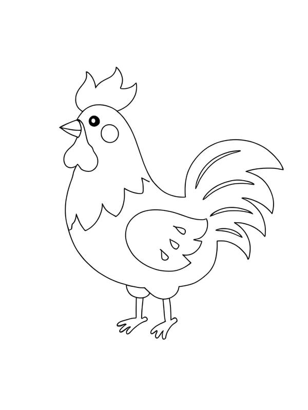 tô màu con gà trống 31