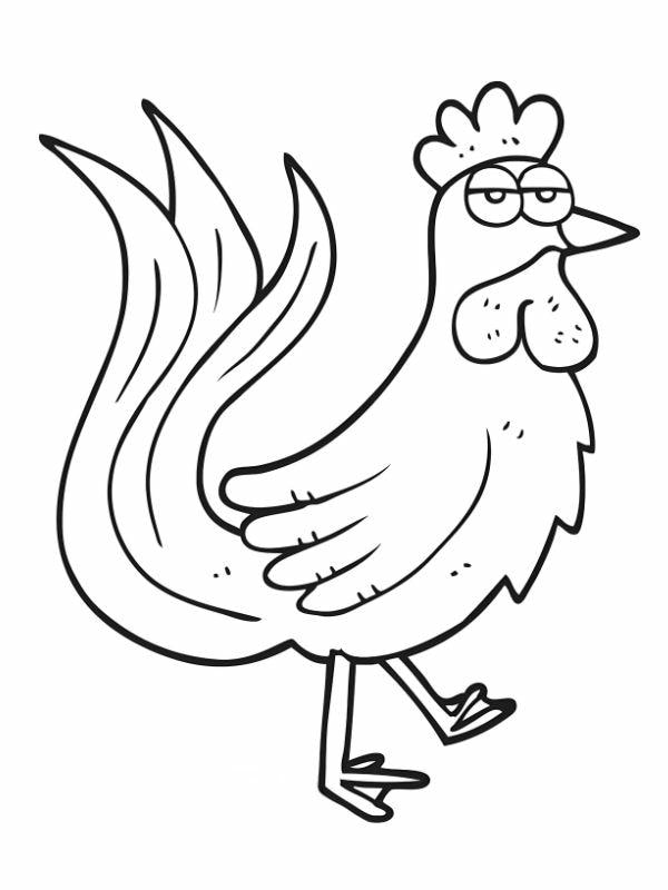 tô màu con gà trống 7