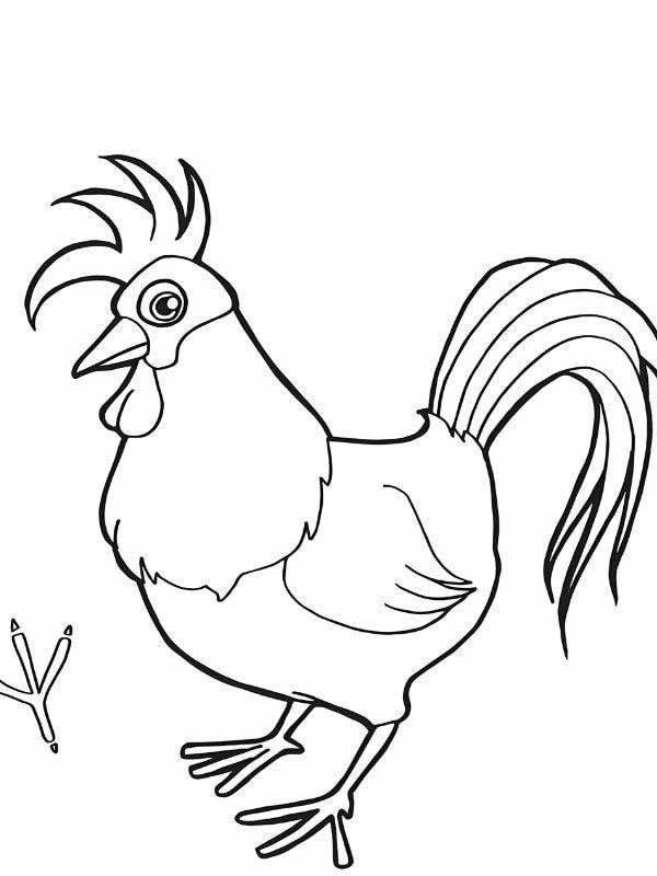 tô màu con gà trống 8
