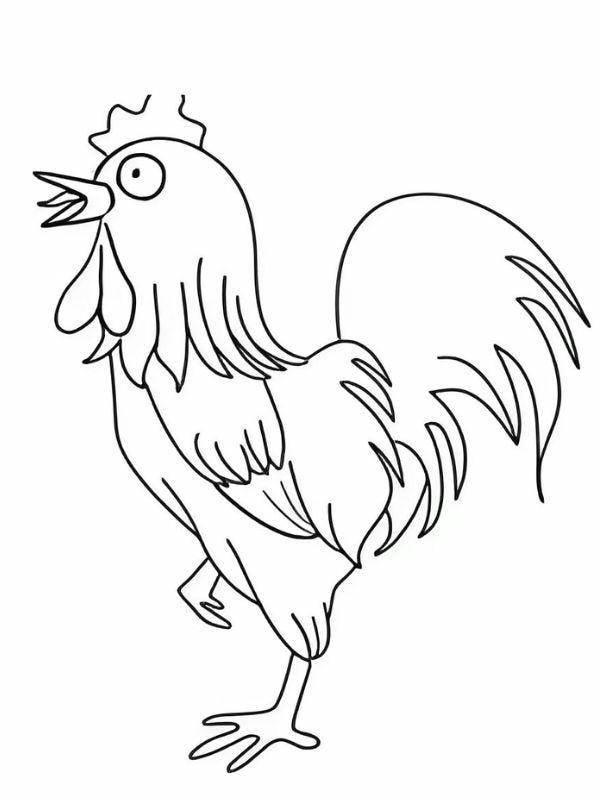 tô màu con gà trống 9