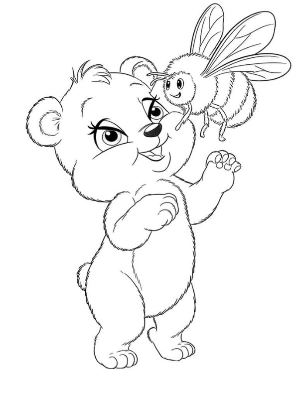 tô màu con gấu 5