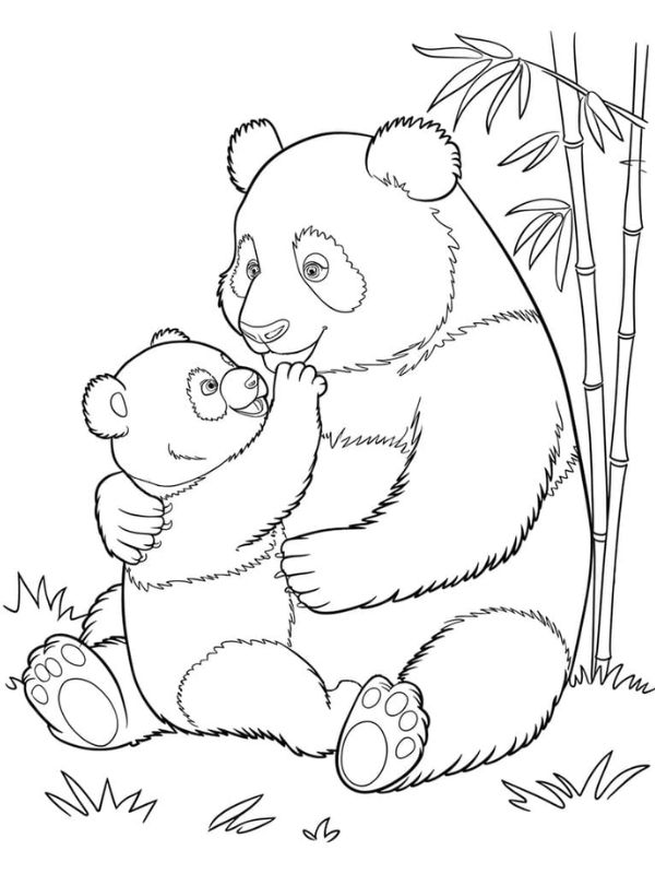 tô màu con gấu trúc