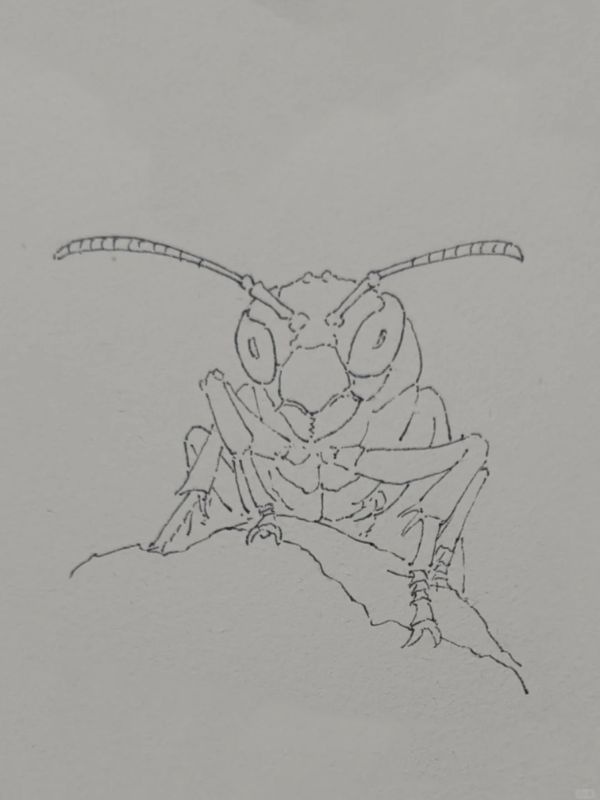 tô màu con ong 8