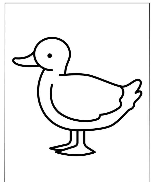 tô màu con vịt 1