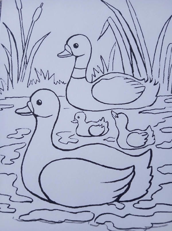 tô màu con vịt 19