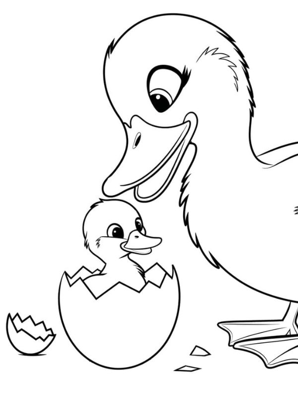 tô màu con vịt 3