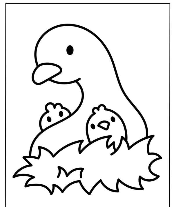 tô màu con vịt 5