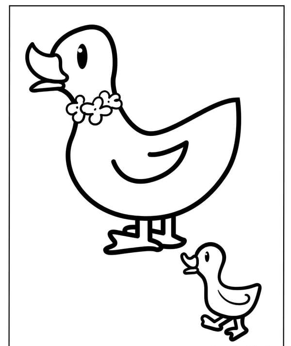 tô màu con vịt 7