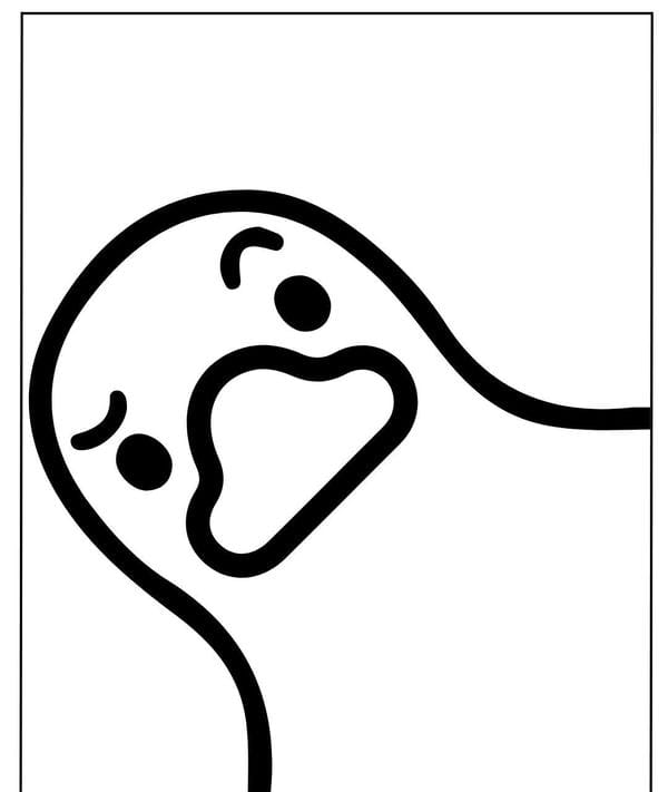 tô màu con vịt 8