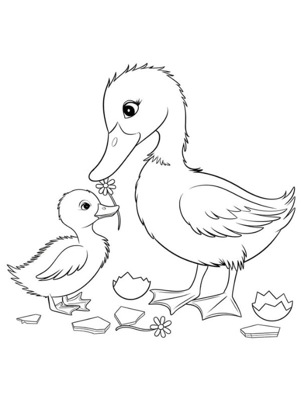 tô màu con vịt 8