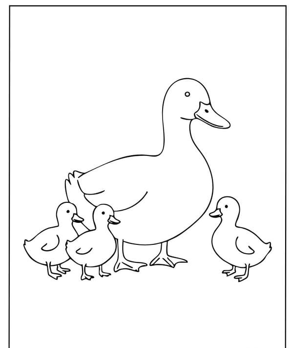 tô màu con vịt 9