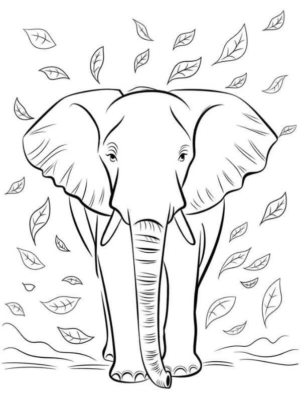tô màu con voi 14