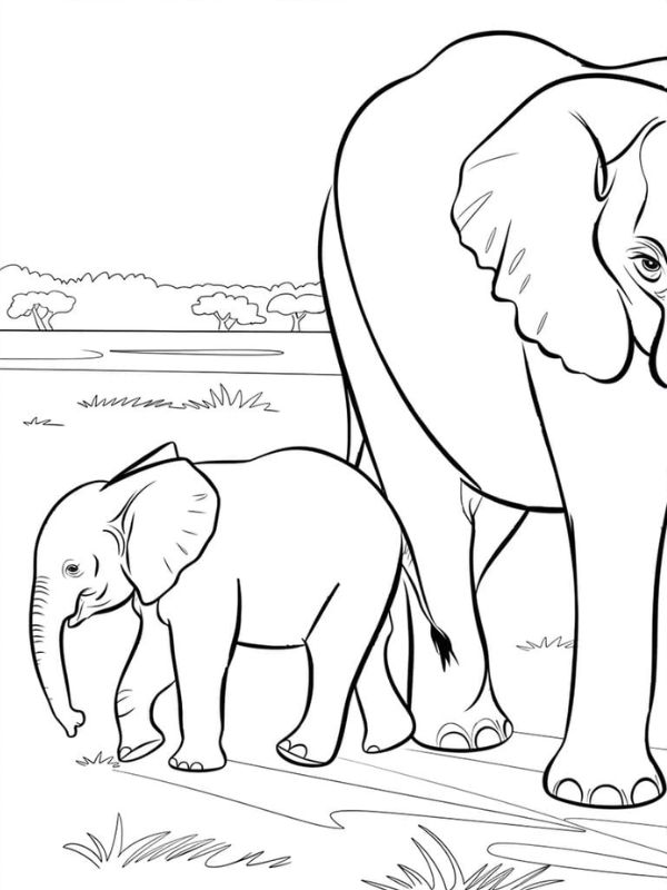 tô màu con voi 17