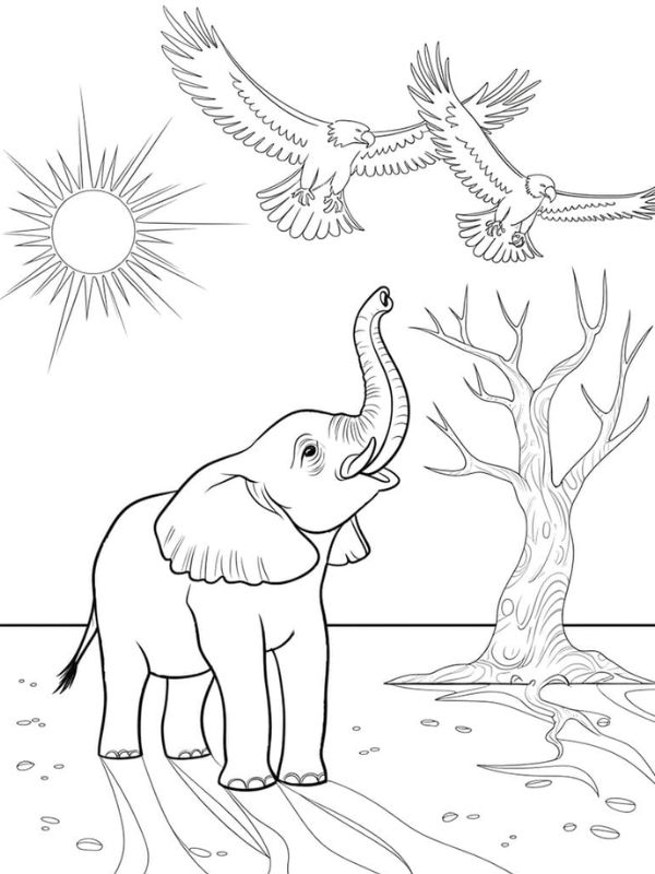 tô màu con voi 18