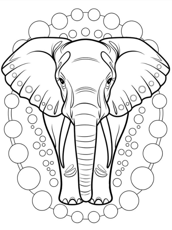 tô màu con voi 19