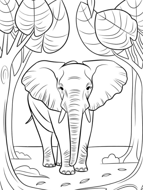 tô màu con voi 23