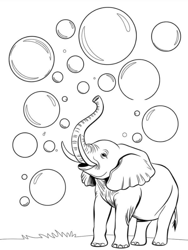 tô màu con voi 3